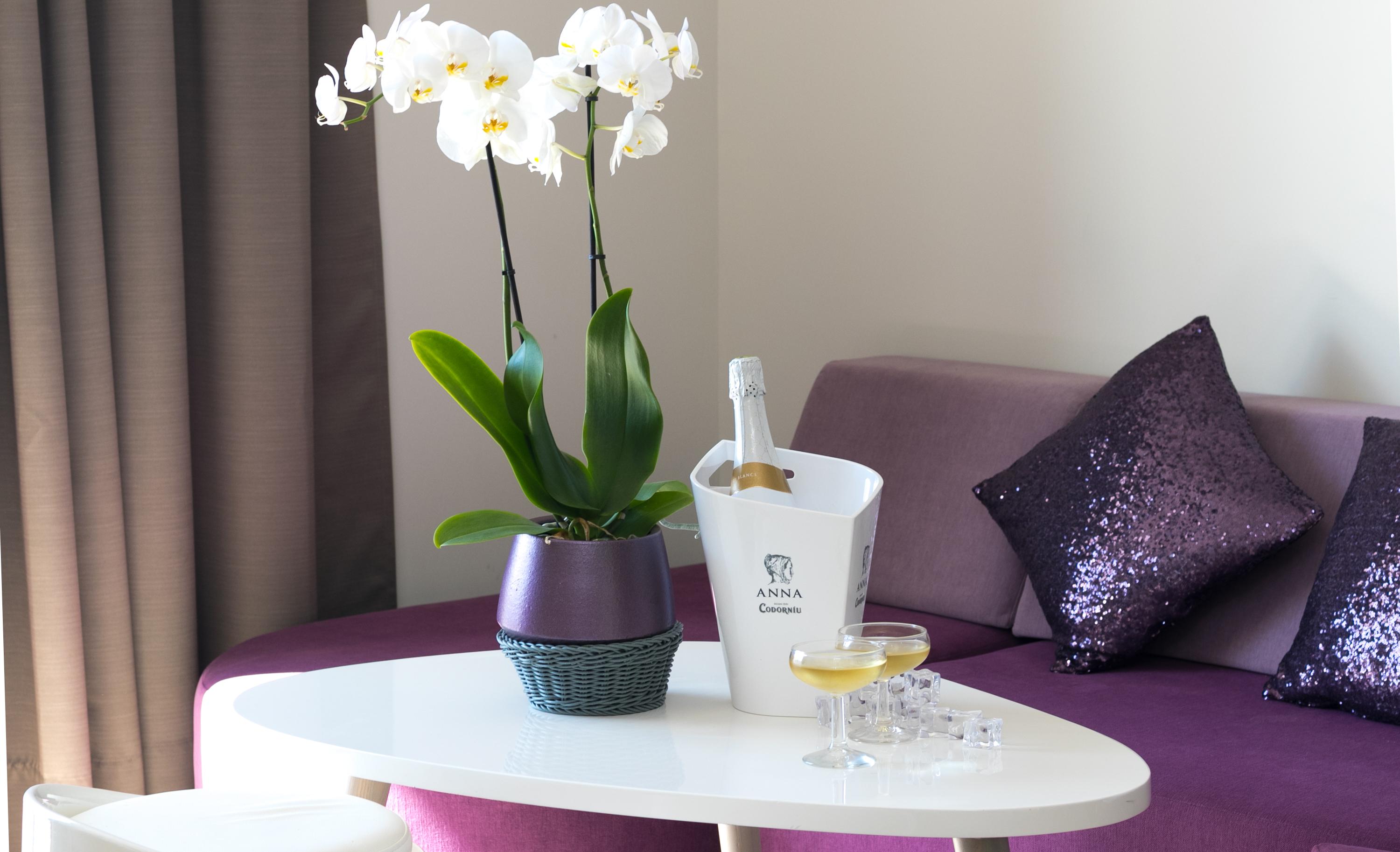 The Purple Hotel - Adults Only San Antonio  Eksteriør bilde
